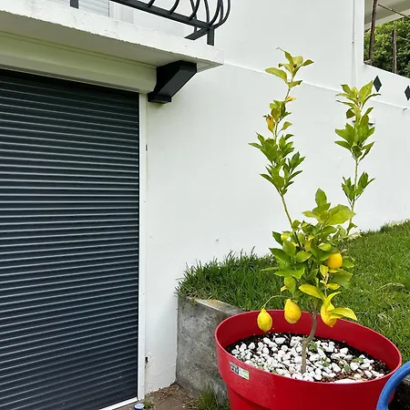 T2 Aux Portes De Bayonne Et Biarritz * Mouguerre